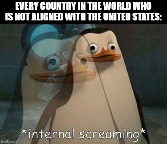 Private Internal Screaming | EVERY COUNTRY IN THE WORLD WHO IS NOT ALIGNED WITH THE UNITED STATES: | image tagged in private internal screaming | made w/ Imgflip meme maker