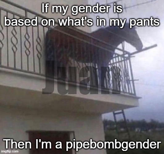 :thumbs up: | If my gender is based on what's in my pants; Juan; Then I'm a pipebombgender | image tagged in juan | made w/ Imgflip meme maker