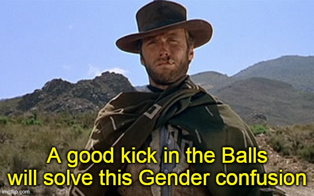 Clint Eastwood - Western | A good kick in the Balls
will solve this Gender confusion | image tagged in clint eastwood - western,gender,transgender,balls,based | made w/ Imgflip meme maker