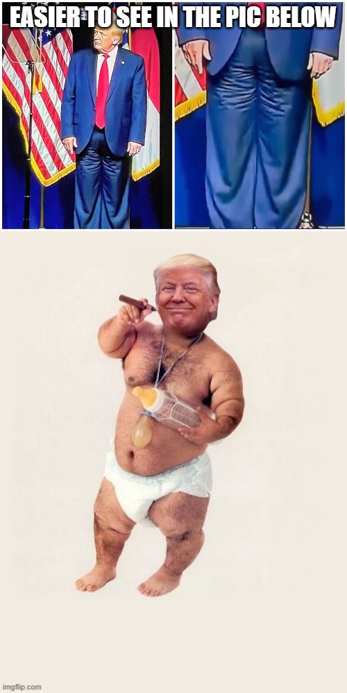 EASIER TO SEE IN THE PIC BELOW | image tagged in trump diapers | made w/ Imgflip meme maker