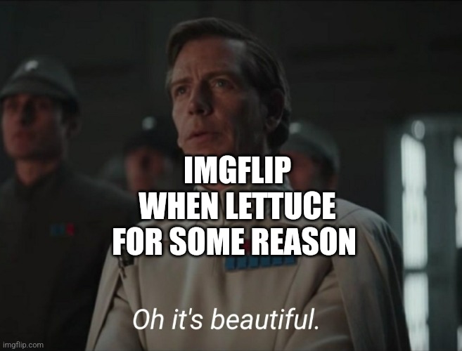Oh it's beautiful | IMGFLIP WHEN LETTUCE FOR SOME REASON | image tagged in oh it's beautiful | made w/ Imgflip meme maker