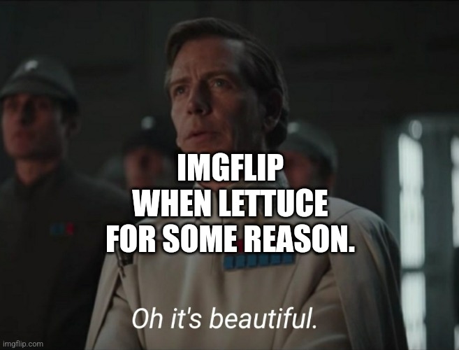 Oh it's beautiful | IMGFLIP WHEN LETTUCE FOR SOME REASON. | image tagged in oh it's beautiful | made w/ Imgflip meme maker