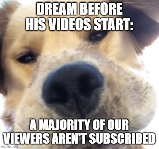 Doggo bruh | DREAM BEFORE HIS VIDEOS START:; A MAJORITY OF OUR VIEWERS AREN'T SUBSCRIBED | image tagged in doggo bruh,minecraft,dream | made w/ Imgflip meme maker