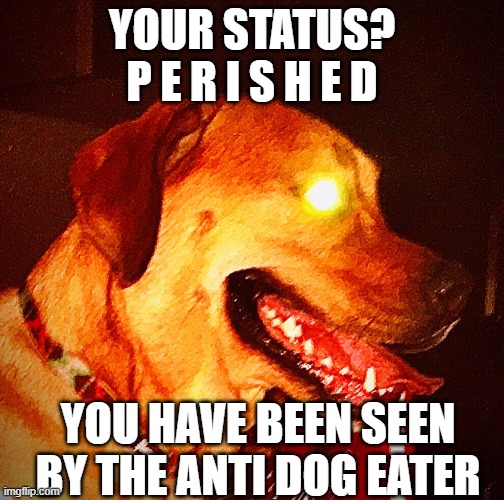 Then Perish Pupper | YOUR STATUS?
P E R I S H E D YOU HAVE BEEN SEEN BY THE ANTI DOG EATER | image tagged in then perish pupper | made w/ Imgflip meme maker