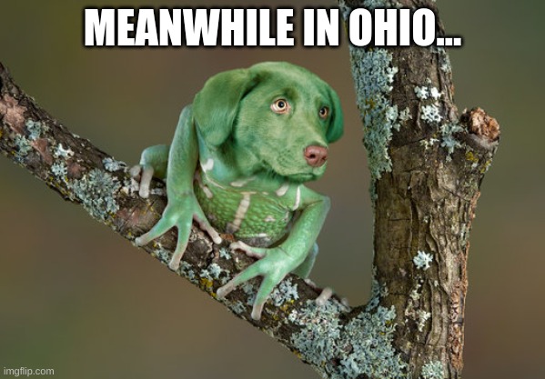 In ohio... | MEANWHILE IN OHIO... | image tagged in ohio,funny,cringe,sus | made w/ Imgflip meme maker
