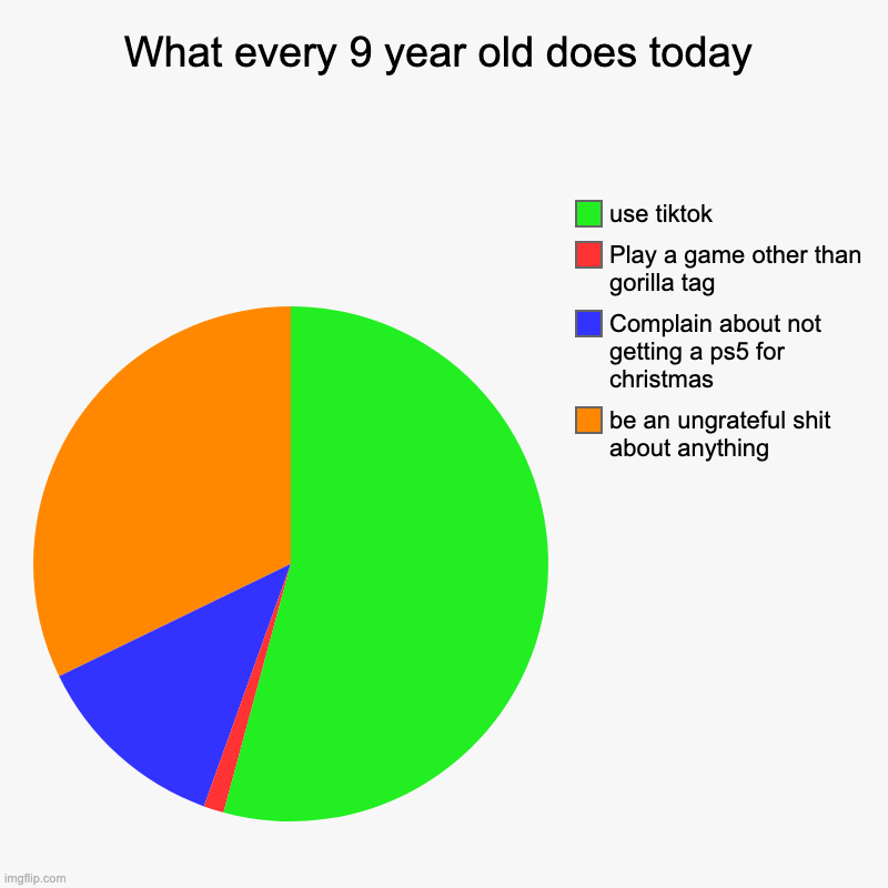 What every 9 year old does today | be an ungrateful shit about anything, Complain about not getting a ps5 for christmas, Play a game other t | image tagged in charts,pie charts | made w/ Imgflip chart maker