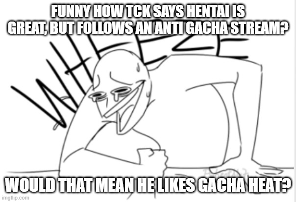 wheeze | FUNNY HOW TCK SAYS HENTAI IS GREAT, BUT FOLLOWS AN ANTI GACHA STREAM? WOULD THAT MEAN HE LIKES GACHA HEAT? | image tagged in wheeze | made w/ Imgflip meme maker
