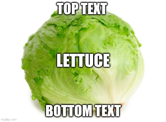 Lettuce | TOP TEXT; LETTUCE; BOTTOM TEXT | image tagged in lettuce | made w/ Imgflip meme maker