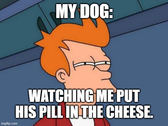 Futurama Fry | MY DOG:; WATCHING ME PUT HIS PILL IN THE CHEESE. | image tagged in memes,futurama fry | made w/ Imgflip meme maker
