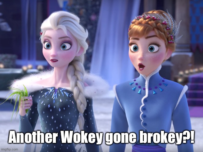 Elsa and Anna SHOCKED! | Another Wokey gone brokey?! | image tagged in elsa and anna shocked | made w/ Imgflip meme maker