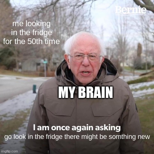 Bernie I Am Once Again Asking For Your Support Meme | me looking in the fridge for the 50th time; MY BRAIN; go look in the fridge there might be somthing new | image tagged in memes,bernie i am once again asking for your support | made w/ Imgflip meme maker
