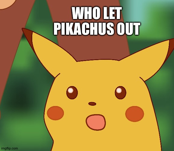 Twitter 2.0 | WHO LET PIKACHUS OUT | image tagged in surprised pikachu hd,twitter,who let the dogs out | made w/ Imgflip meme maker