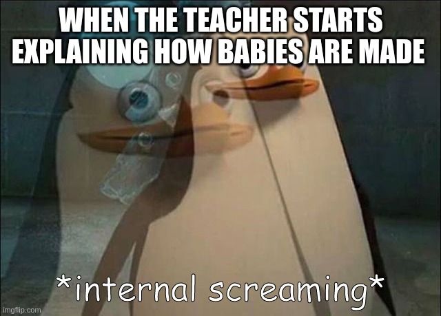 AHHHHHHH | WHEN THE TEACHER STARTS EXPLAINING HOW BABIES ARE MADE | image tagged in private internal screaming | made w/ Imgflip meme maker