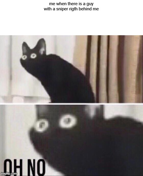 oh no ..... | me when there is a guy with a sniper rigth behind me | image tagged in oh no cat | made w/ Imgflip meme maker