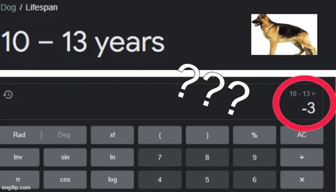 bro how do they live negative years long? | made w/ Imgflip meme maker