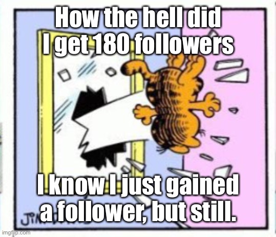 Garfield gets thrown out of a window | How the hell did I get 180 followers; I know I just gained a follower, but still. | image tagged in garfield gets thrown out of a window | made w/ Imgflip meme maker