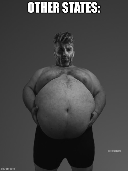 Fat Giga Chad | OTHER STATES: | image tagged in fat giga chad | made w/ Imgflip meme maker