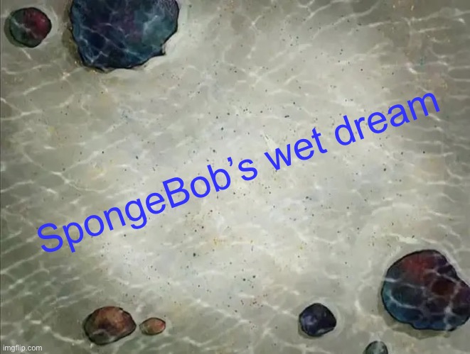 SpongeBob thing | SpongeBob’s wet dream | image tagged in spongebob thing | made w/ Imgflip meme maker