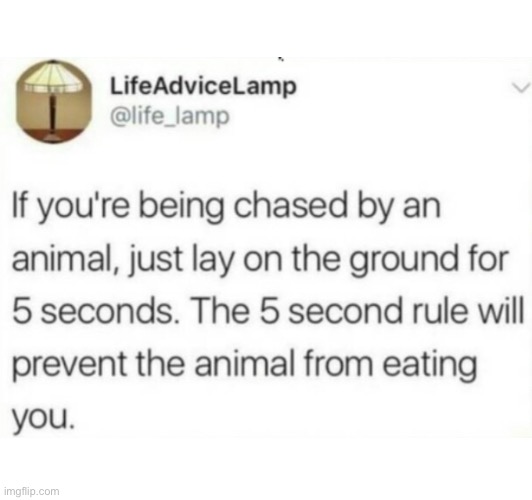 Life hacks | image tagged in life hack | made w/ Imgflip meme maker