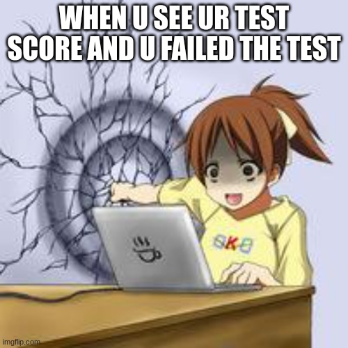 Anime wall punch | WHEN U SEE UR TEST SCORE AND U FAILED THE TEST | image tagged in anime wall punch | made w/ Imgflip meme maker