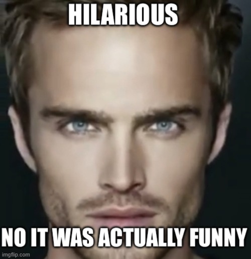 Hilarious no it was actually funny | image tagged in hilarious no it was actually funny | made w/ Imgflip meme maker