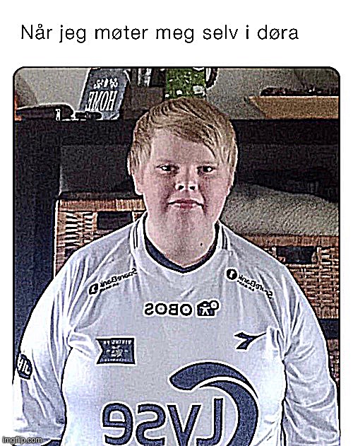 norwegian moment | image tagged in bruh,lol,why are you reading this | made w/ Imgflip meme maker