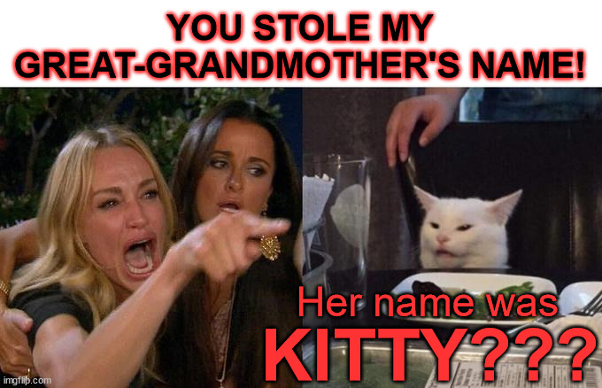 Cast of Cats | YOU STOLE MY GREAT-GRANDMOTHER'S NAME! Her name was; KITTY??? | image tagged in memes,woman yelling at cat | made w/ Imgflip meme maker