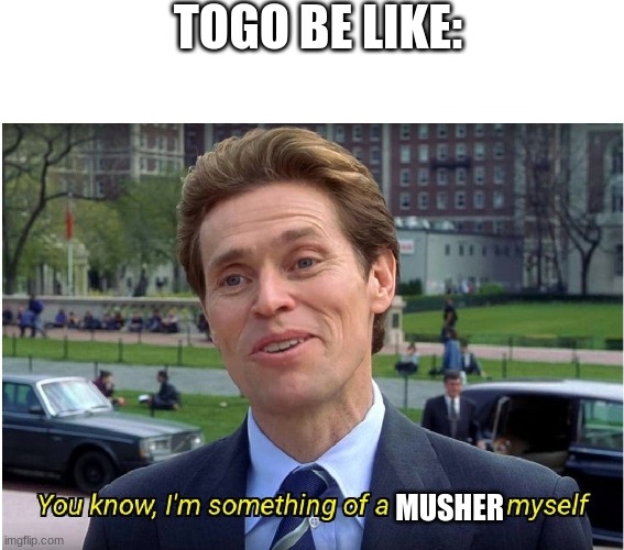 Leonhard Seppala Is Played By The Same Guy In Togo | TOGO BE LIKE:; MUSHER | image tagged in you know i'm something of a _ myself | made w/ Imgflip meme maker