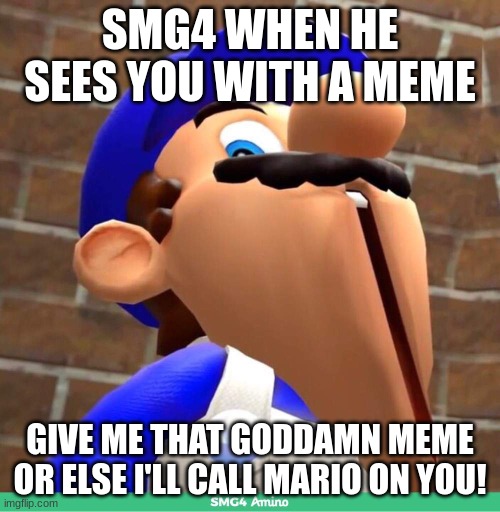 smg4's face | SMG4 WHEN HE SEES YOU WITH A MEME; GIVE ME THAT GODDAMN MEME OR ELSE I'LL CALL MARIO ON YOU! | image tagged in smg4's face | made w/ Imgflip meme maker