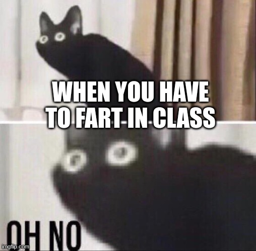 E | WHEN YOU HAVE TO FART IN CLASS | image tagged in oh no cat | made w/ Imgflip meme maker