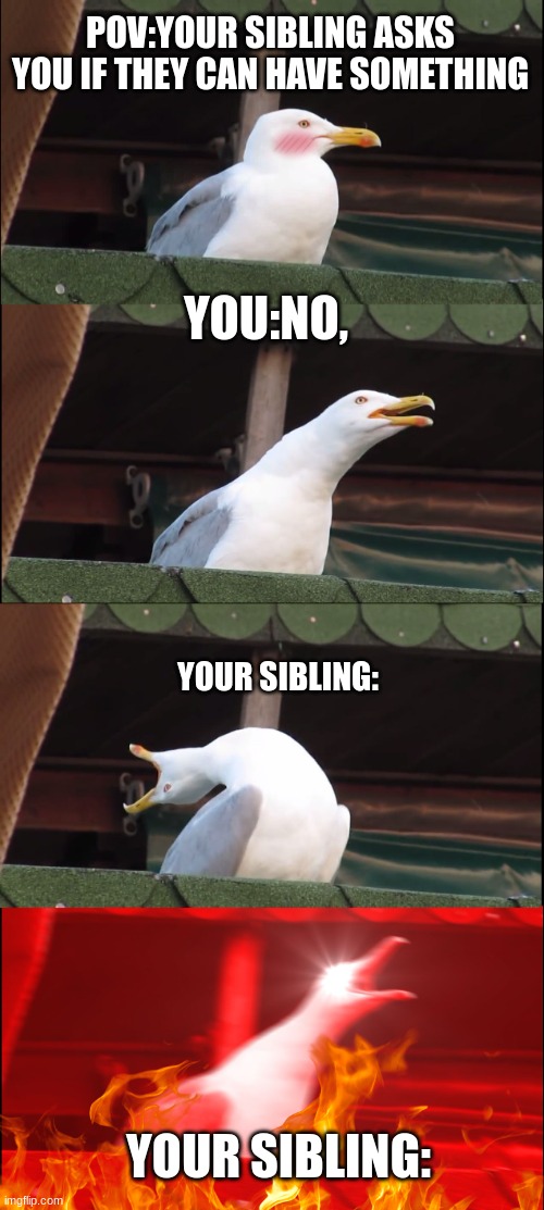 Inhaling Seagull | POV:YOUR SIBLING ASKS YOU IF THEY CAN HAVE SOMETHING; YOU:NO, YOUR SIBLING:; YOUR SIBLING: | image tagged in memes,inhaling seagull | made w/ Imgflip meme maker