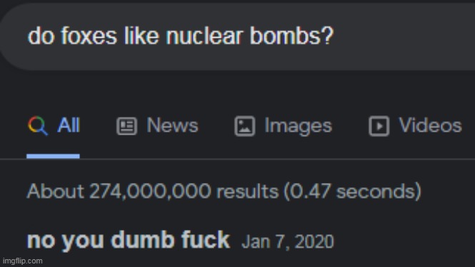 do foxes like nuclear bombs? | image tagged in do foxes like nuclear bombs | made w/ Imgflip meme maker