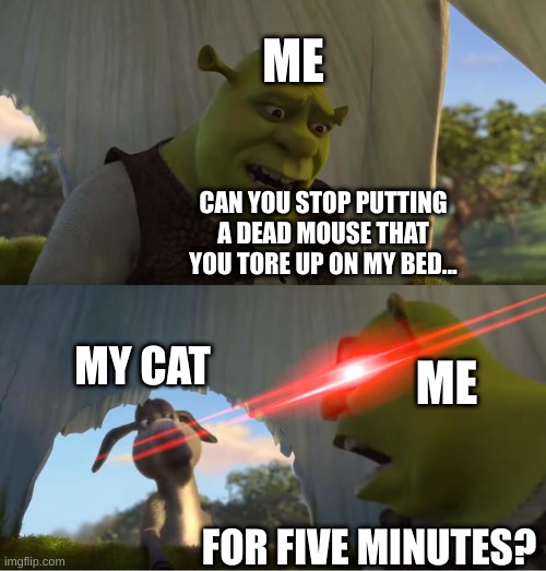 my cat in a nutshell |  ME; CAN YOU STOP PUTTING A DEAD MOUSE THAT YOU TORE UP ON MY BED... MY CAT; ME; FOR FIVE MINUTES? | image tagged in shrek for five minutes,cat,memes,meme,not funny,unfunny | made w/ Imgflip meme maker