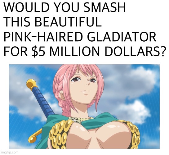 Me, definitely. What about y’all? | WOULD YOU SMASH THIS BEAUTIFUL PINK-HAIRED GLADIATOR FOR $5 MILLION DOLLARS? | image tagged in smash or pass,rebecca one piece,memes,would you rather,one piece,dressrosa | made w/ Imgflip meme maker
