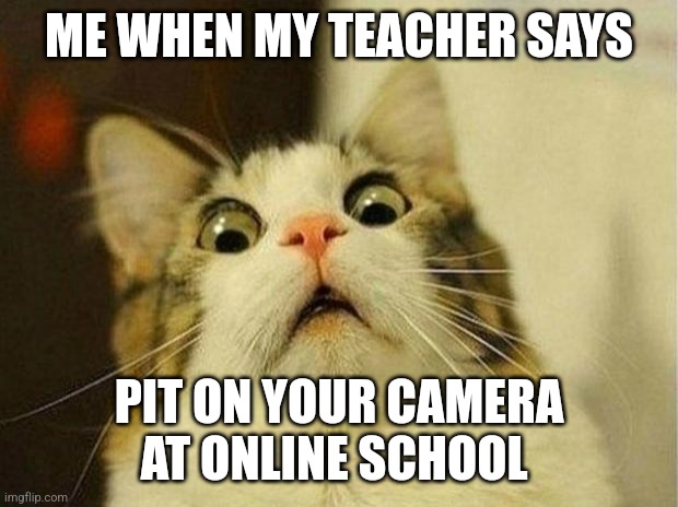 Scared Cat Meme | ME WHEN MY TEACHER SAYS; PIT ON YOUR CAMERA AT ONLINE SCHOOL | image tagged in memes,scared cat | made w/ Imgflip meme maker