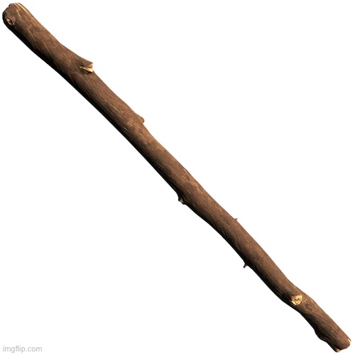 Just a stick | image tagged in stick,funny,wierd,random | made w/ Imgflip meme maker