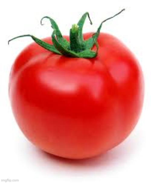 Tomato>lettuce | image tagged in tomato | made w/ Imgflip meme maker