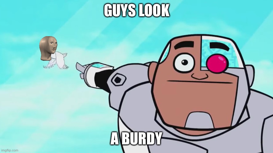 Meme man burdy | GUYS LOOK; A BURDY | image tagged in guys look a birdie,birds,meme man | made w/ Imgflip meme maker