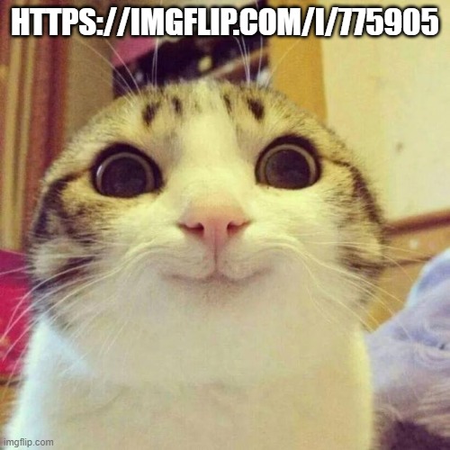 definitely not a meme plug https://imgflip.com/i/775905 | HTTPS://IMGFLIP.COM/I/775905 | image tagged in memes,smiling cat | made w/ Imgflip meme maker