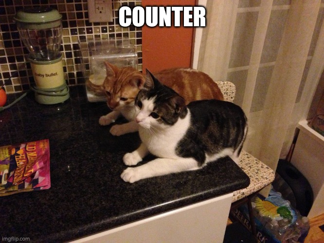 Scientists have developed kitchen countertops that can charge yo | COUNTER | image tagged in scientists have developed kitchen countertops that can charge yo | made w/ Imgflip meme maker