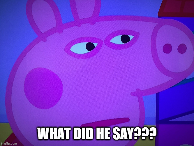 What did you say Peppa Pig | WHAT DID HE SAY??? | image tagged in what did you say peppa pig | made w/ Imgflip meme maker