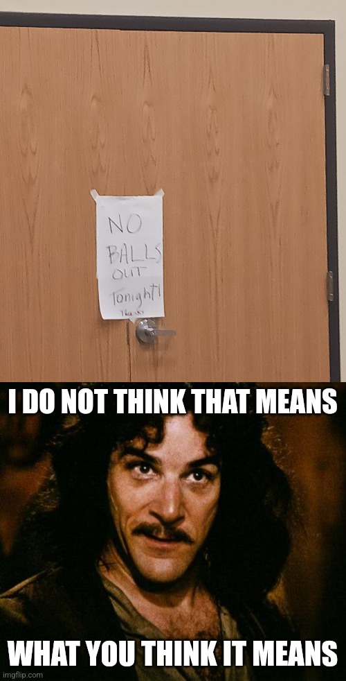 Very poorly worded | I DO NOT THINK THAT MEANS; WHAT YOU THINK IT MEANS | image tagged in memes,inigo montoya | made w/ Imgflip meme maker