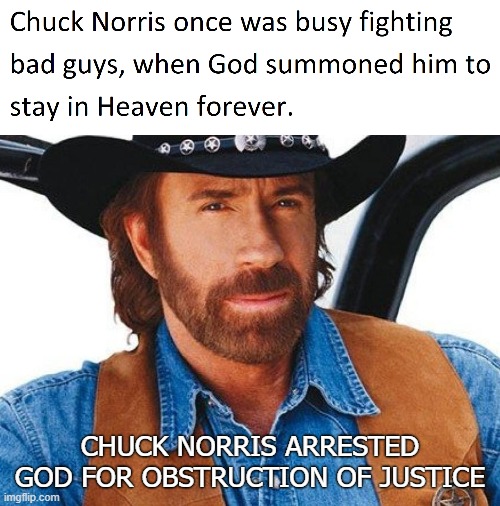 He doesn't die. He gets summoned, much to his dismay. | CHUCK NORRIS ARRESTED GOD FOR OBSTRUCTION OF JUSTICE | image tagged in chuck norris,funny | made w/ Imgflip meme maker