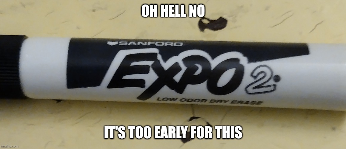 It's here the sequel nobody asked for but subconsciously wanted expo 2 | OH HELL NO; IT'S TOO EARLY FOR THIS | made w/ Imgflip meme maker