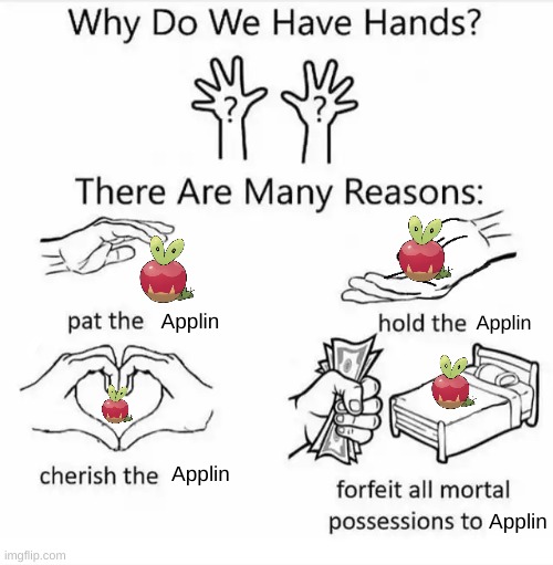 he is they are so cute | Applin; Applin; Applin; Applin | image tagged in why do we have hands all blank | made w/ Imgflip meme maker