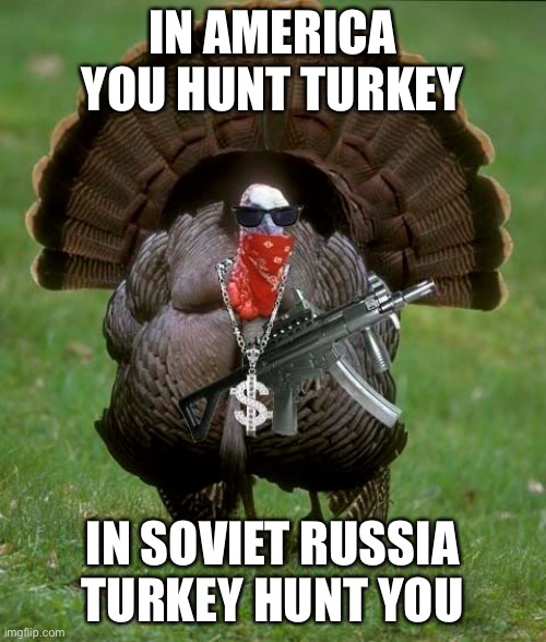 Gangsta Turkey | IN AMERICA YOU HUNT TURKEY; IN SOVIET RUSSIA TURKEY HUNT YOU | image tagged in gangsta turkey,turkey | made w/ Imgflip meme maker