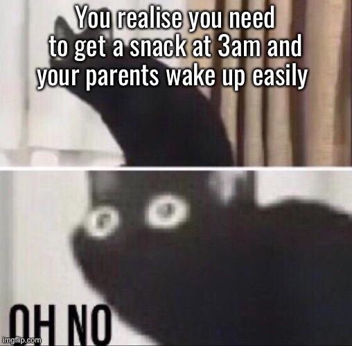 OH NO, OH GOD PLEASE NO | You realise you need to get a snack at 3am and your parents wake up easily | image tagged in oh no cat | made w/ Imgflip meme maker