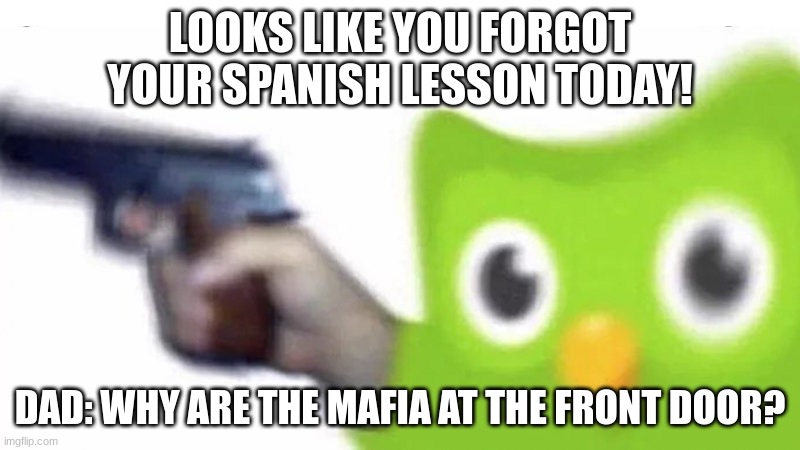 Hol' Up | LOOKS LIKE YOU FORGOT YOUR SPANISH LESSON TODAY! DAD: WHY ARE THE MAFIA AT THE FRONT DOOR? | image tagged in duolingo gun | made w/ Imgflip meme maker