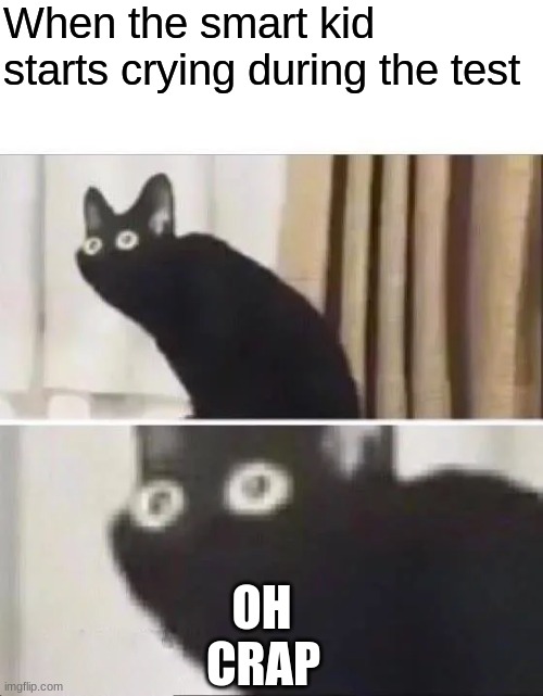 Oh No Black Cat | When the smart kid starts crying during the test; OH        CRAP | image tagged in oh no black cat | made w/ Imgflip meme maker