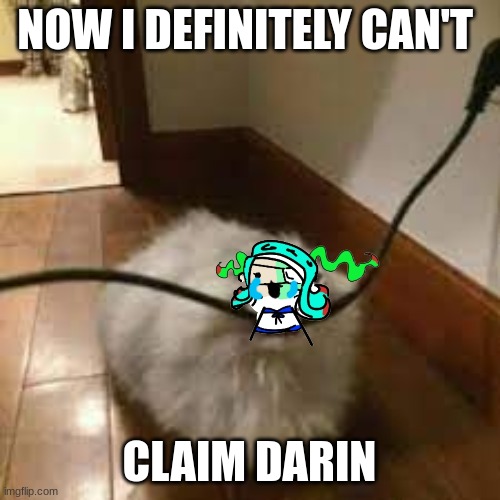 sad cat chewing cord | NOW I DEFINITELY CAN'T CLAIM DARIN | image tagged in sad cat chewing cord | made w/ Imgflip meme maker